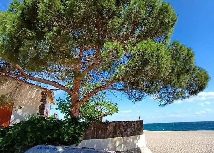 Appartamento Duplex Climat' 3 Pièces, Proche à Argelès, Terrasse, Parking, Wifi, 6 Pers - Fr-1-776-1 *