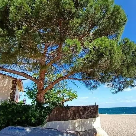 Duplex Climat' 3 Pieces, Proche A Argeles, Terrasse, Parking, Wifi, 6 Pers - Fr-1-776-1 דירה *