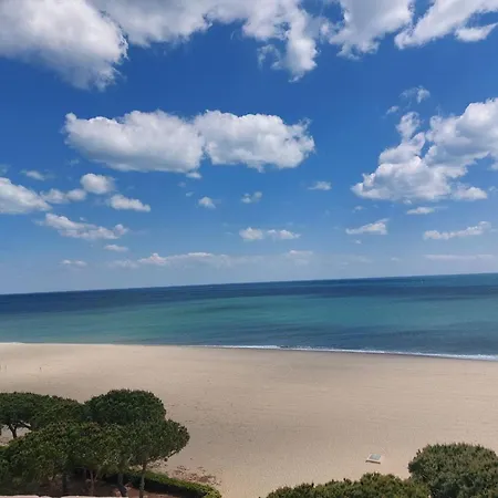 Duplex Climat' 3 Pieces, Proche A Argeles, Terrasse, Parking, Wifi, 6 Pers - Fr-1-776-1 דירה ארגלס-סור-מר